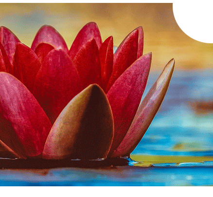 Yogamedics Oakland County Michigan|Holistic benefits of Yoga Oakland County Michigan| RYT training for yoga| medically oriented yoga Oakland County Michigan| yoga therapy| corporate wellness program Oakland County Michigan |Yoga Training Oakland County, Michigan|Yoga Medical Professionals Oakland County, MI